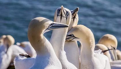 巴彦淖尔最新的高价医保个人账户余额微信查询方法分享(巴彦淖尔医保查询个人账户明细怎么查微信教程)