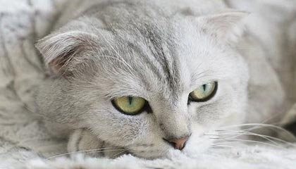 巴彦淖尔最新的高价医保个人账户余额微信查询方法分享(巴彦淖尔医保查询个人账户明细怎么查微信教程)