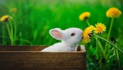 巴彦淖尔最新的高价医保卡惠民保险代扣怎么取消掉了方法分享(巴彦淖尔惠民医保怎么报销教程)